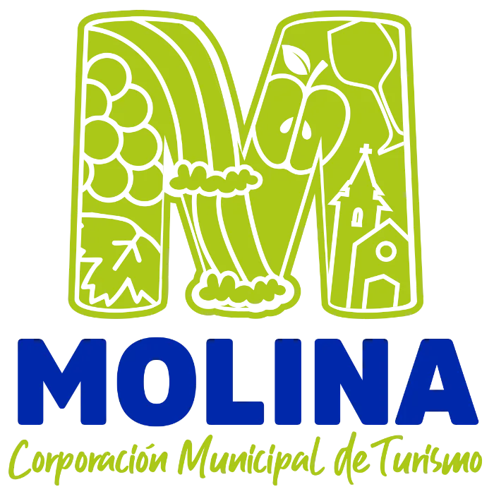 Logo Molina